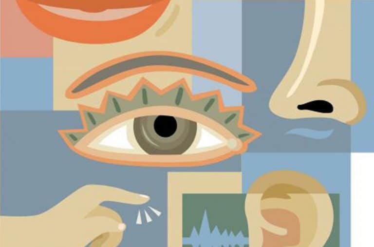 Las 4 S del Marketing Sensorial ExpoPublicitas